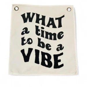 Time to Be a Vibe Mini Wall Banner